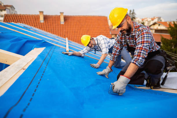 Best Flat Roof Repair Services  in Springfield, MA